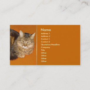 Carte De Visite Maine Coon