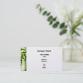 Carte De Visite Maïs à vendre (Debout devant)