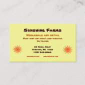 Carte De Visite Maïs à vendre (Dos)