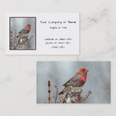 Carte De Visite Maison Finch en Neige - Photo originale (Devant / Derrière)