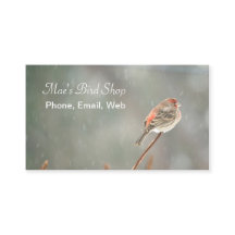 Maison Finch sur une succursale