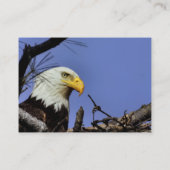 Carte De Visite Majestic Bald Eagle (Dos)