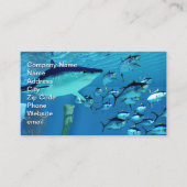 Carte De Visite Mako Shark après le thon albacore (Devant)