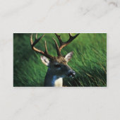 Carte De Visite mâle Blanc-coupé la queue (Dos)