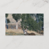 Carte De Visite mâle Blanc-coupé la queue de cerfs communs (Dos)
