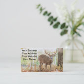 Carte De Visite Mâle de cerf de Virginie (Debout devant)