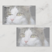 Carte De Visite Malicieux (Devant / Derrière)