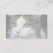 Carte De Visite Malicieux (Dos)