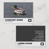 Carte De Visite Mallard Duck (Devant / Derrière)