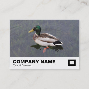 Carte De Visite Mallard Duck