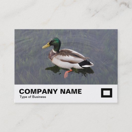 Carte De Visite Mallard Duck (Devant)