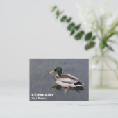 Carte De Visite Mallard Duck (Debout devant)