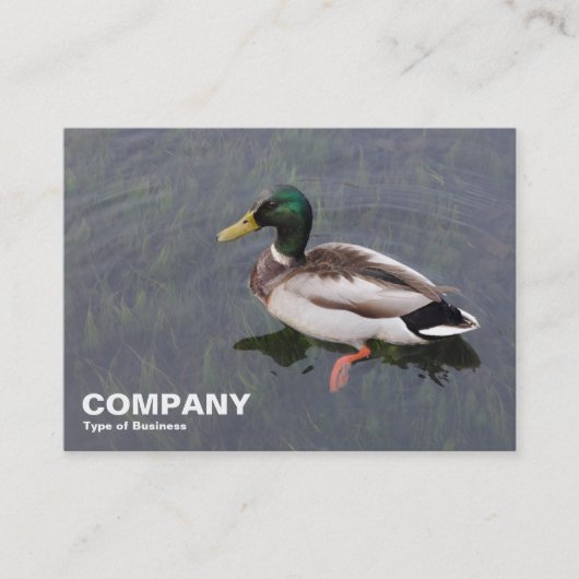 Carte De Visite Mallard Duck (Devant)
