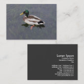 Carte De Visite Mallard Duck (Devant / Derrière)