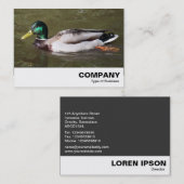 Carte De Visite Mallard Duck (Devant / Derrière)