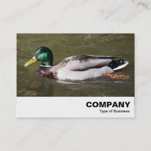 Carte De Visite Mallard Duck