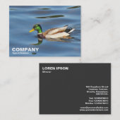 Carte De Visite Mallard Duck (Devant / Derrière)