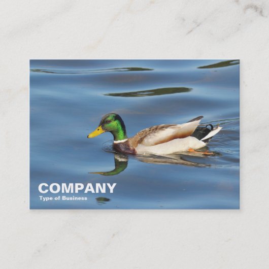 Carte De Visite Mallard Duck (Devant)