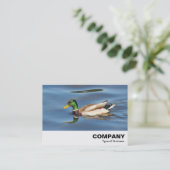 Carte De Visite Mallard Duck (Debout devant)