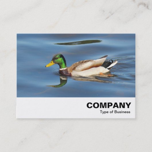 Carte De Visite Mallard Duck (Devant)