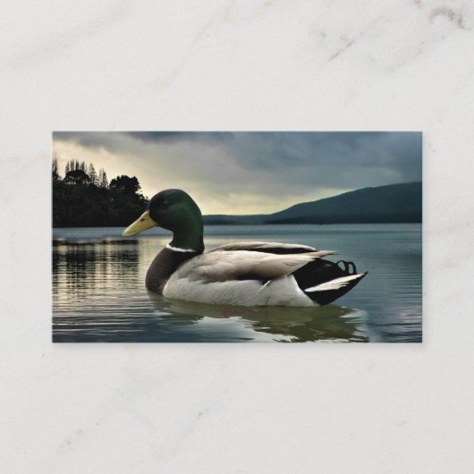 Carte De Visite Mallard Duck (Devant)