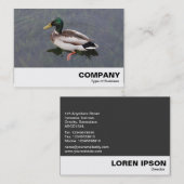Carte De Visite Mallard Duck (Devant / Derrière)