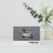 Carte De Visite Mallard Duck (Debout devant)