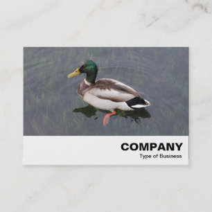Carte De Visite Mallard Duck