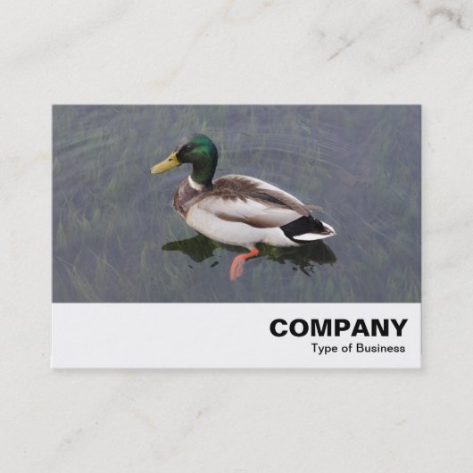 Carte De Visite Mallard Duck (Devant)