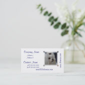 Carte De Visite Maltais adorable (Debout devant)