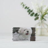 Carte de visite maltais blanc de chiot (Debout devant)