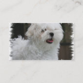 Carte de visite maltais blanc de chiot (Dos)