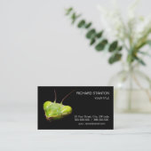 Carte De Visite Mante priante (Debout devant)