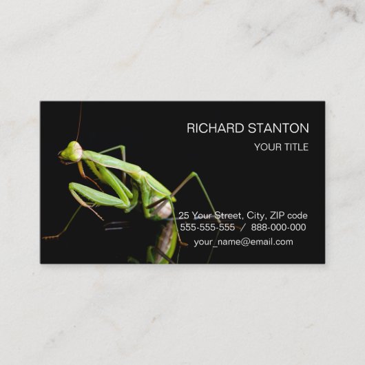 Carte De Visite Mante priante (Devant)