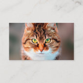 Carte De Visite Manx Chat Visage (Dos)