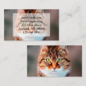 Carte De Visite Manx Chat Visage (Devant / Derrière)