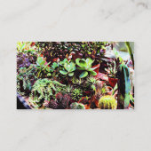 Carte De Visite Many varieties of Cactus (Dos)