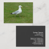 Carte De Visite Marche de mouettes dans le parc (Devant / Derrière)