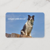 Carte De Visite Marcheuse professionnelle pour chien rose (Dos)