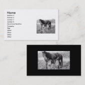 Carte De Visite Mare et poulain d'amour d'une mère (Devant / Derrière)