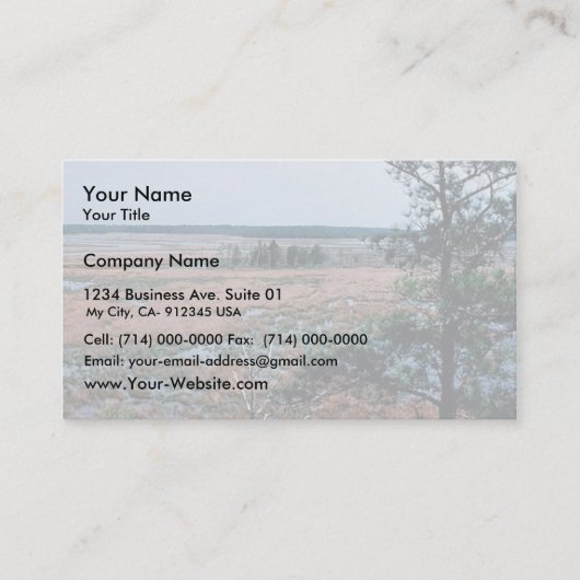 Carte De Visite Marécages de baie de chesapeake (Devant)