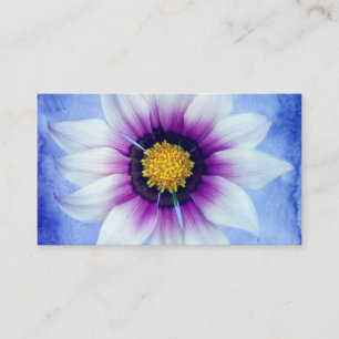 Carte De Visite Marguerite blanche et pourpre sur l'arrière - pla