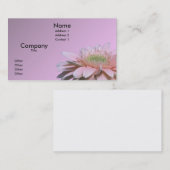 Carte De Visite Marguerite de Gerbera (Devant / Derrière)