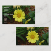 Carte De Visite Marguerite jaune (Devant / Derrière)