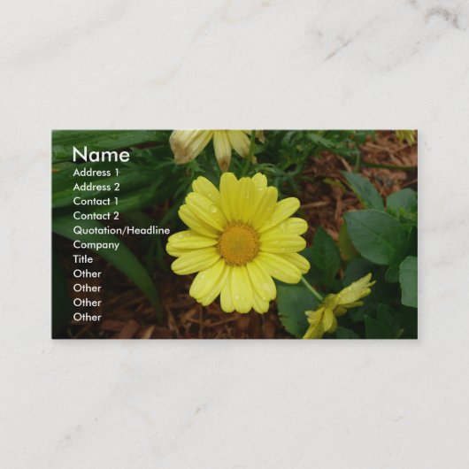 Carte De Visite Marguerite jaune (Devant)