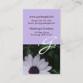Carte De Visite Marguerite pourpre (Dos)