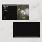 Carte De Visite Marguerites (Devant / Derrière)