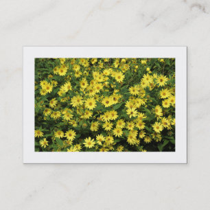Carte De Visite Marguerites Jaunes (Bordées)