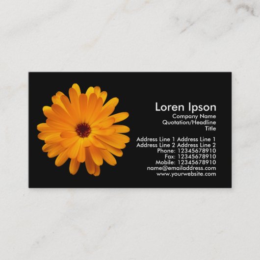 Carte De Visite Marigold orange - Noir (Devant)
