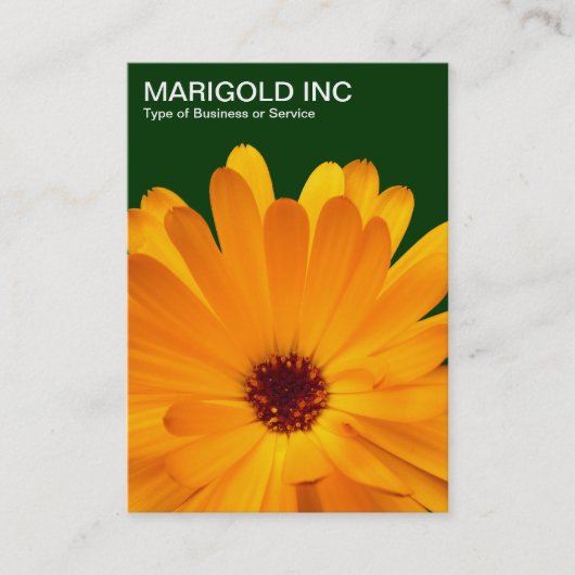 Carte De Visite Marigold orange - Vert foncé (Devant)
